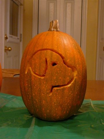 Abby's Pumpkin.JPG